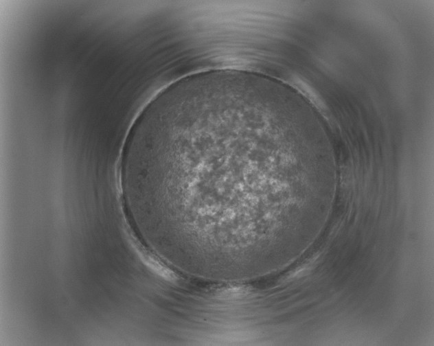 X0000070420891200606161435