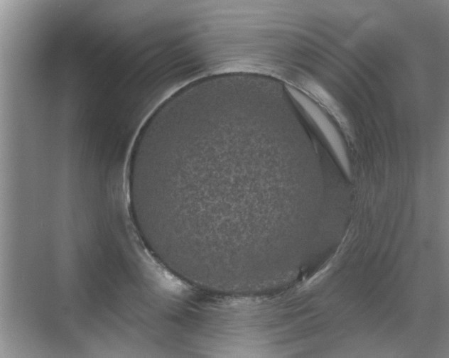 X0000070420892200606161435