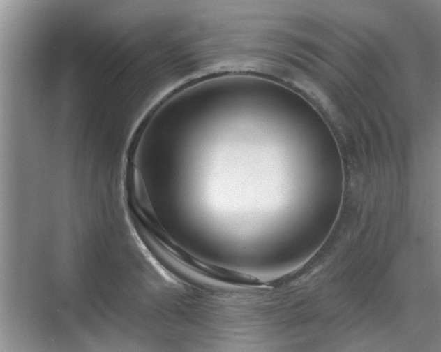 X0000070420894200606161435