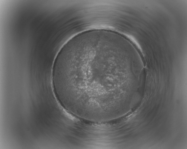 X0000070420895200606161435