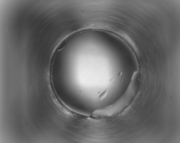 X0000070420896200606161435