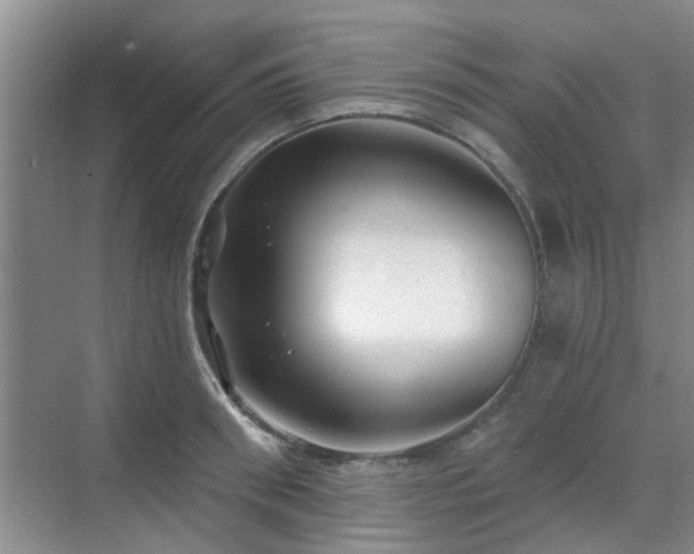 X0000070420898200606161435