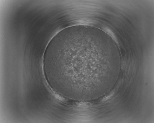 X0000070420899200606161435