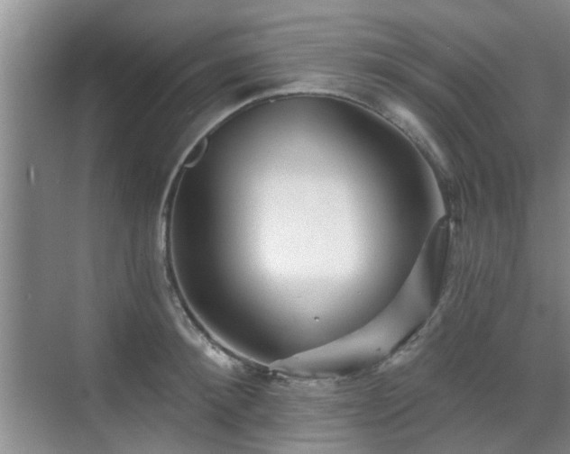 X0000070420900200606161435