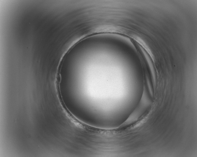 X0000070420901200606161435