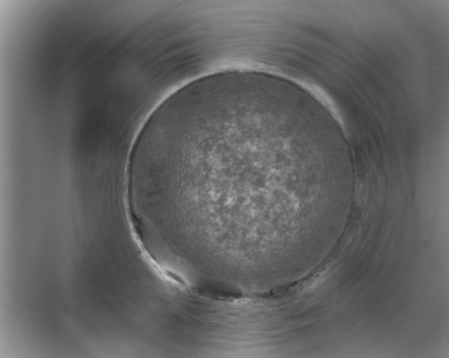 X0000070420903200606161435