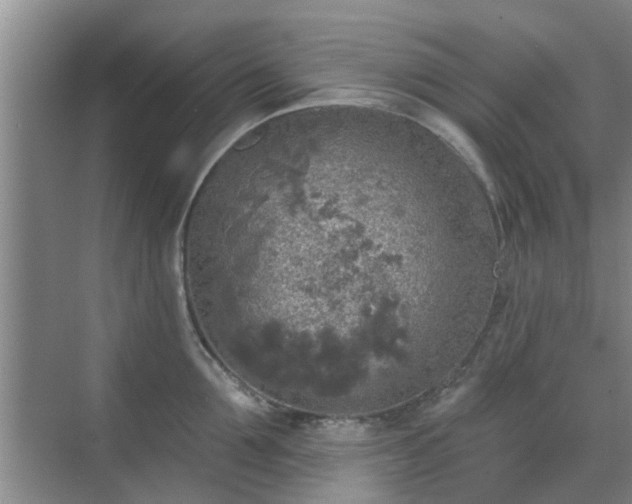 X0000070420907200606161435