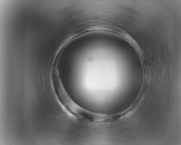 X0000070420909200606161435