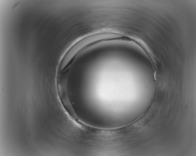 X0000070420910200606161435