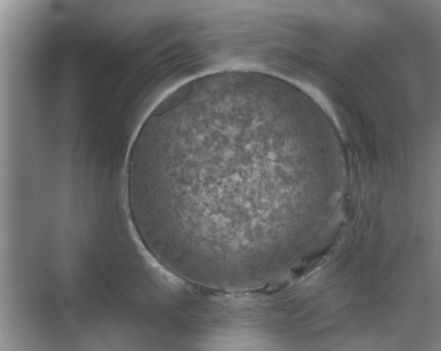 X0000070420911200606161435