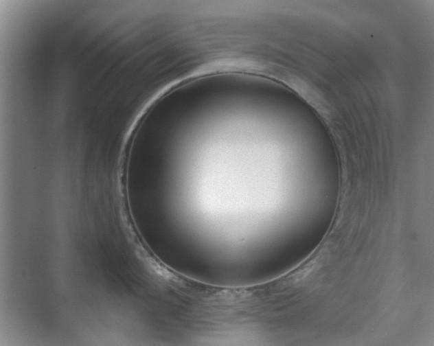 X0000070420912200606161435