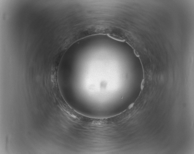 X0000070420914200606161434