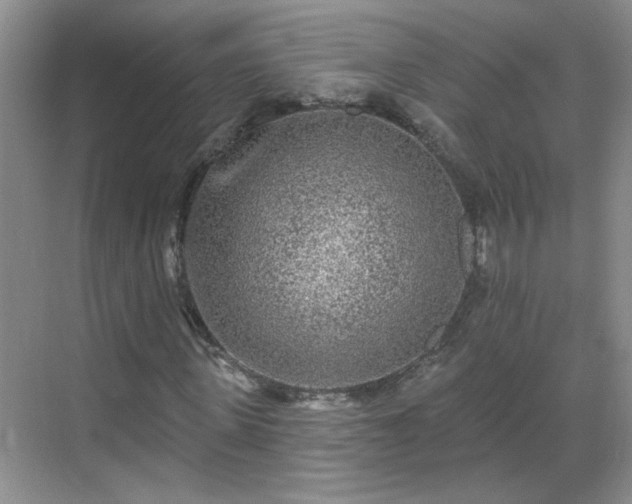 X0000070420915200606161434