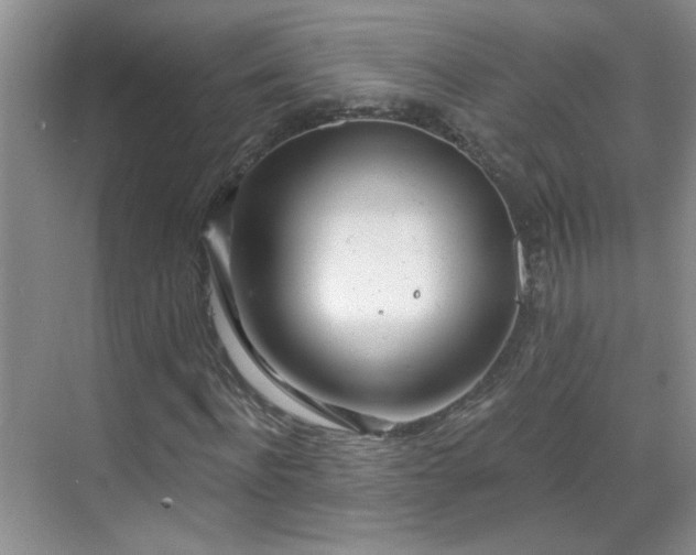 X0000070420916200606161434