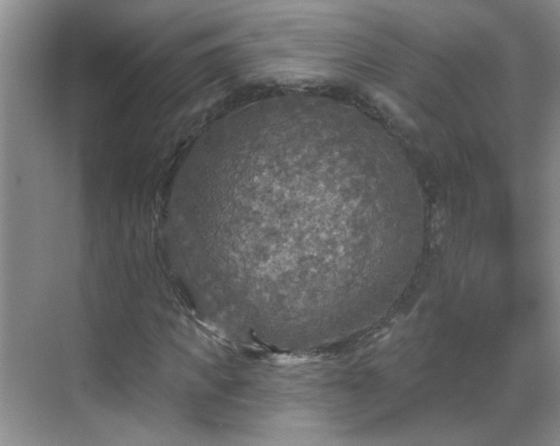 X0000070420917200606161434