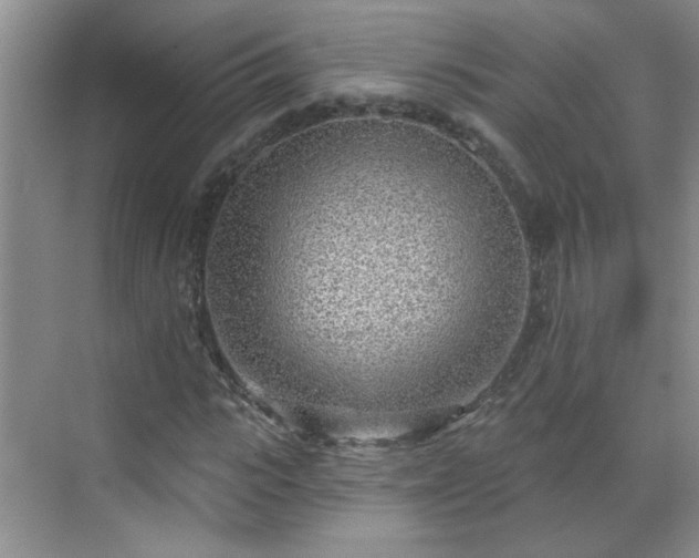 X0000070420919200606161434