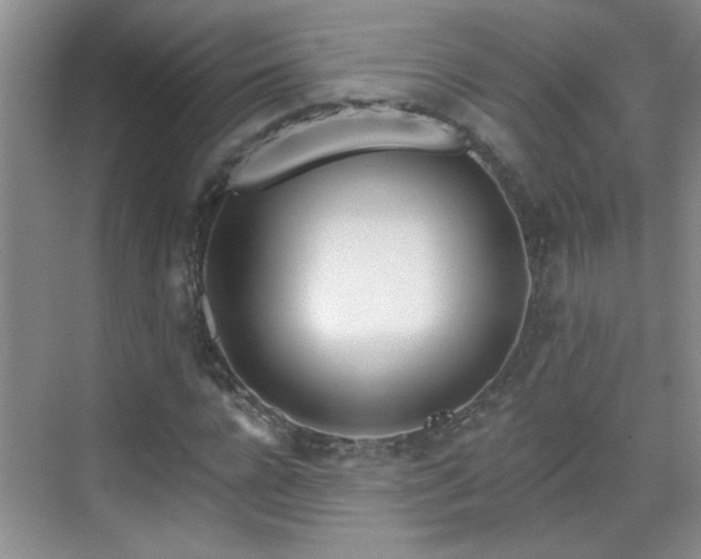 X0000070420920200606161434