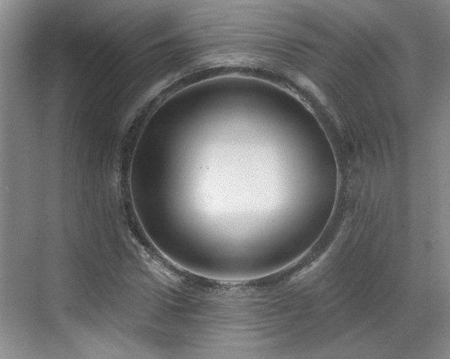 X0000070420922200606161434