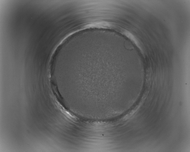 X0000070420923200606161434