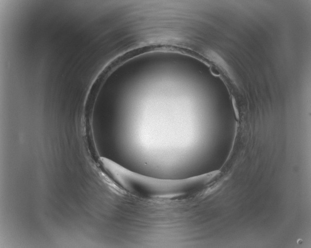 X0000070420924200606161434