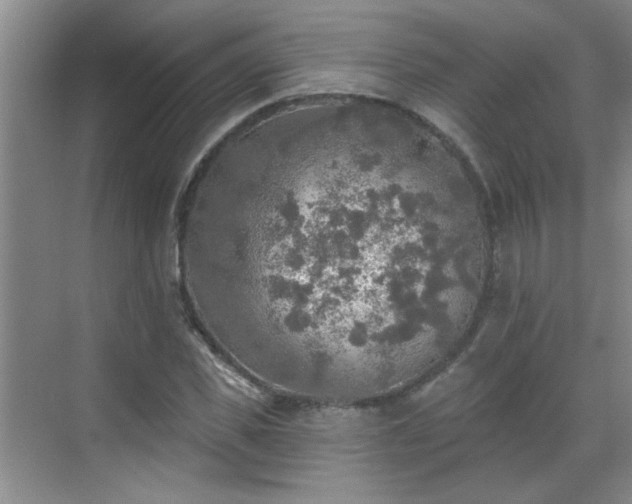 X0000070420925200606161434