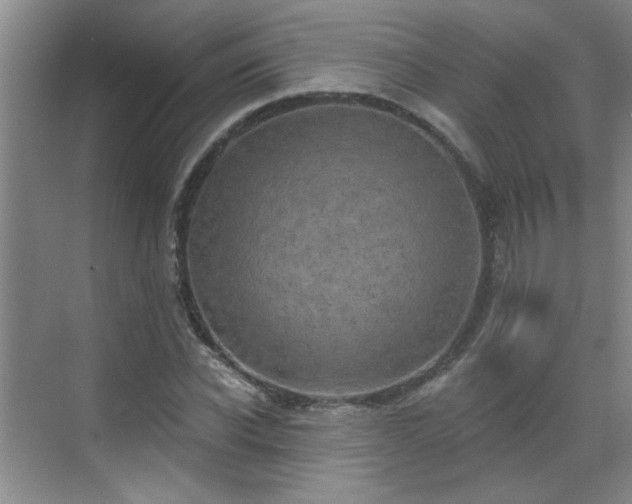 X0000070420926200606161434