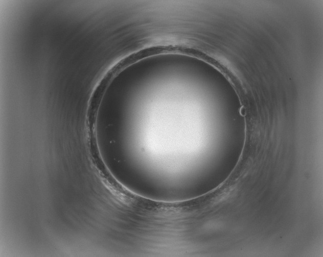 X0000070420927200606161434