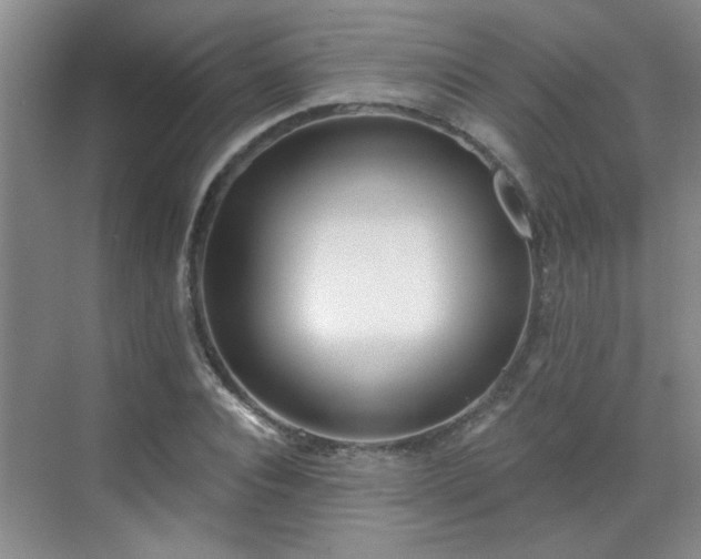 X0000070420928200606161434