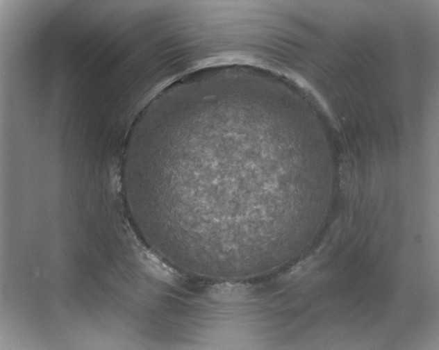 X0000070420929200606161434