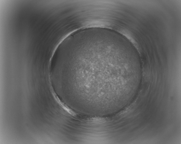 X0000070420933200606161434