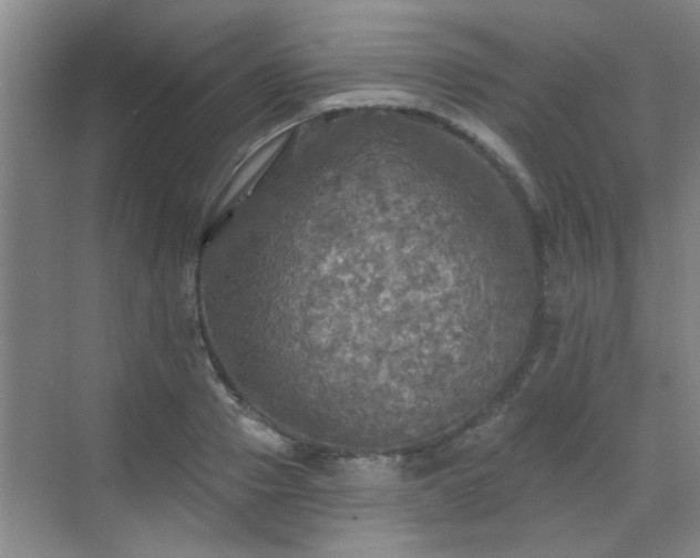 X0000070420937200606161434