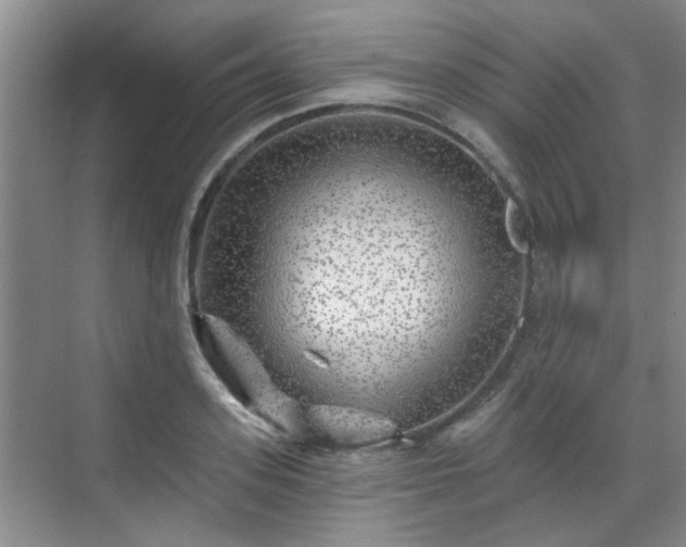 X0000070420939200606161434