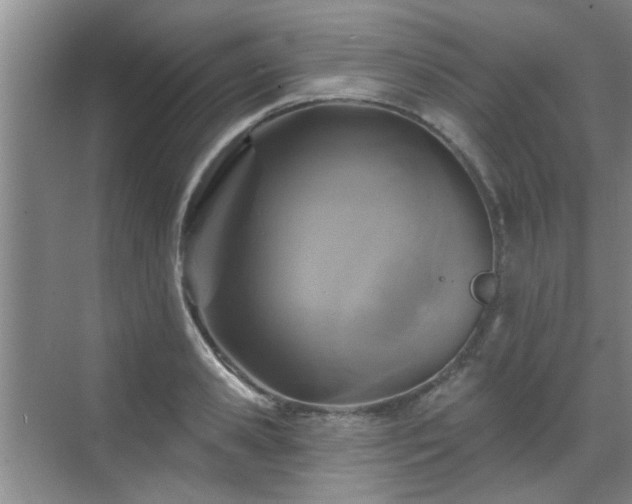 X0000070420941200606161434