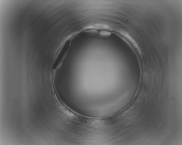 X0000070420945200606161434