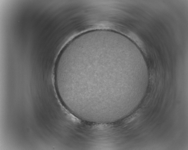 X0000070420950200606161434