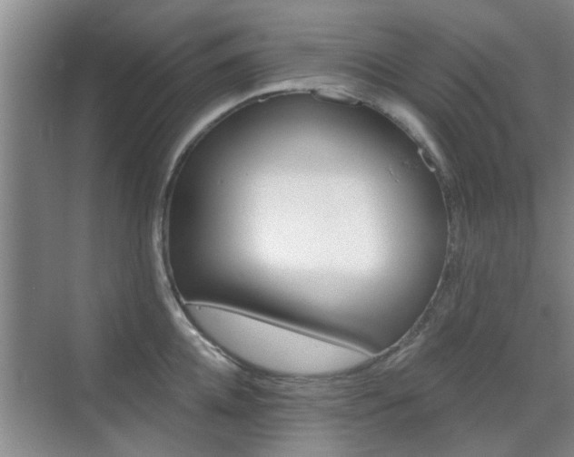 X0000070420952200606161434