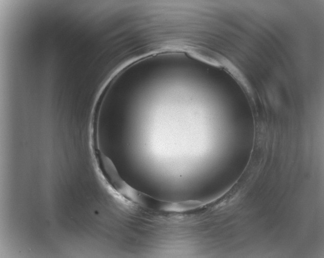 X0000070420955200606161434