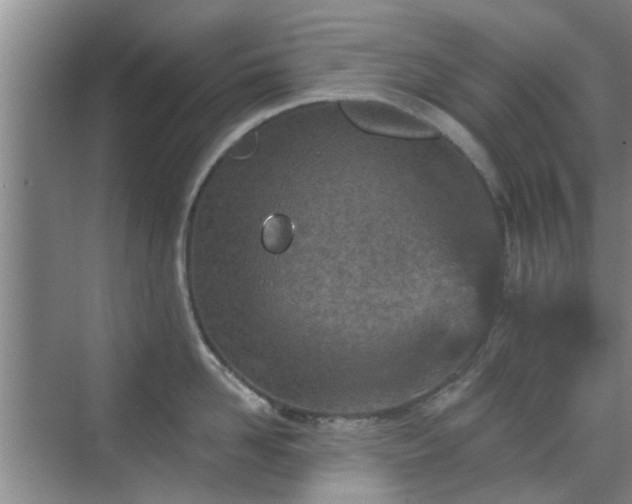 X0000070420958200606161434