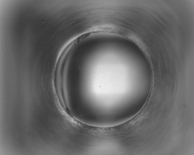 X0000070420960200606161434