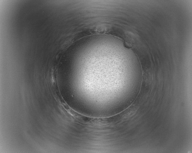 X0000070420962200606161434