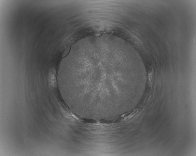 X0000070420963200606161434