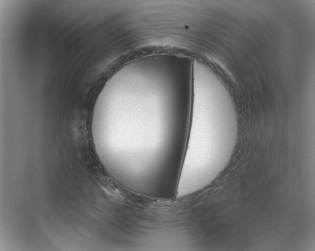 X0000070420968200606161434