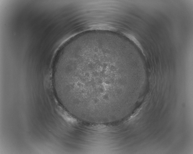 X0000070420971200606161433