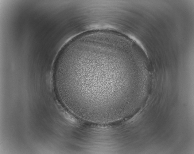 X0000070420975200606161433