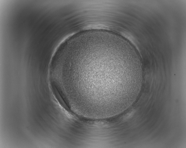 X0000070420979200606161433