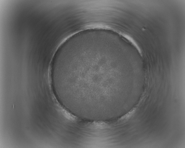 X0000070420983200606161433