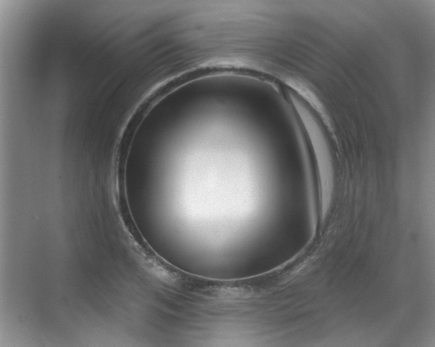 X0000070420984200606161433