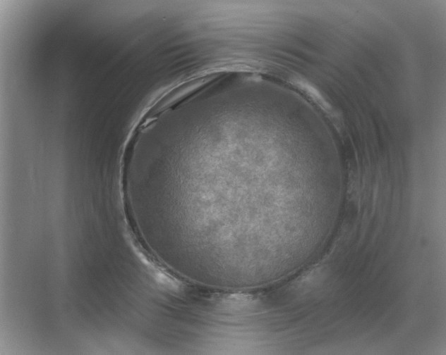 X0000070420986200606161433