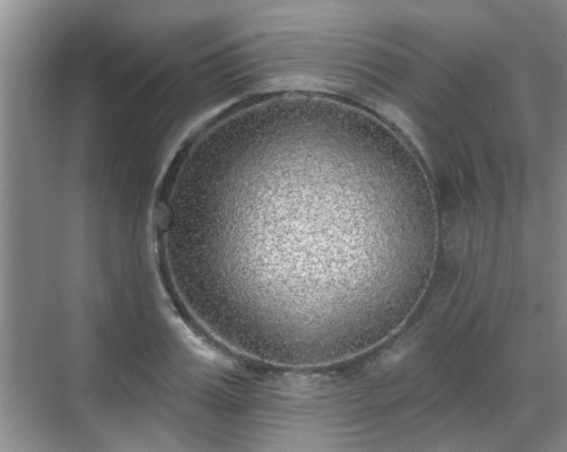 X0000070420987200606161433