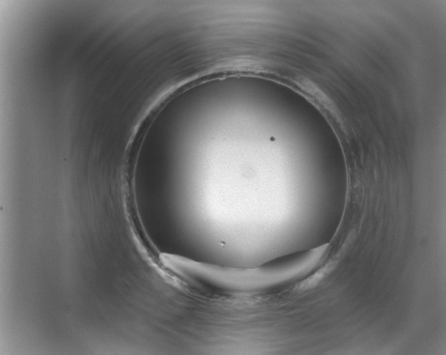 X0000070420989200606161433